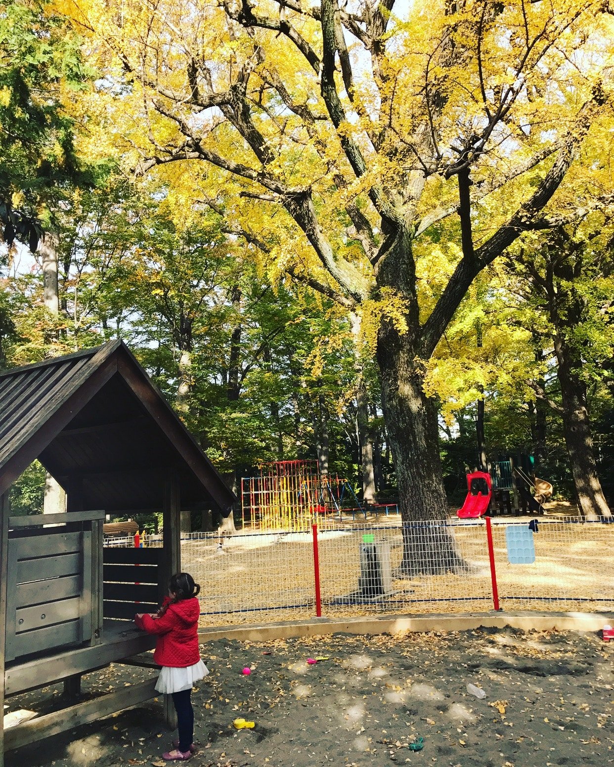 🌳 아리스가와노미야 기념공원 이미지 4